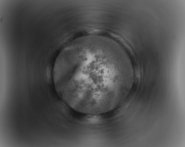 X0000093210667200710101327