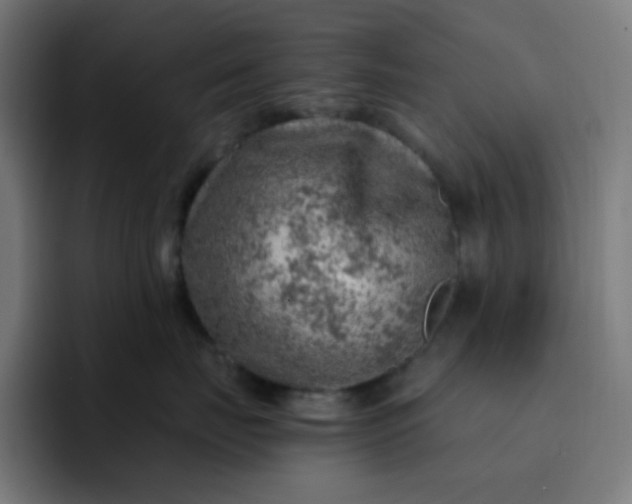 X0000093210671200710101328