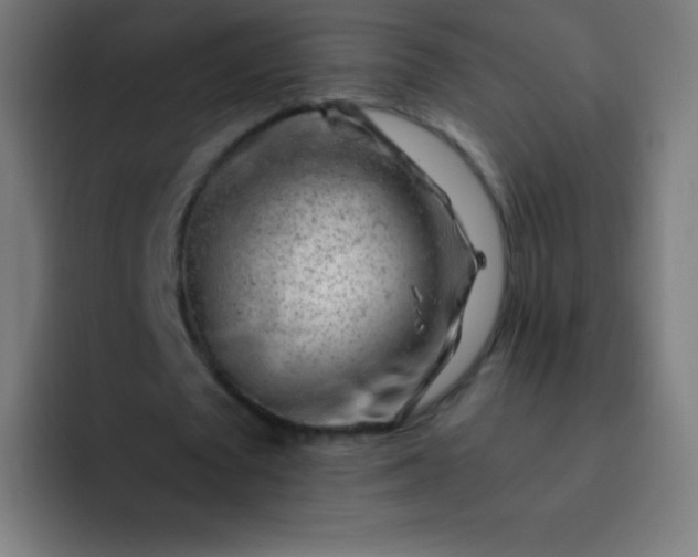 X0000093210673200710101327