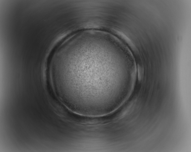 X0000093210675200710101327