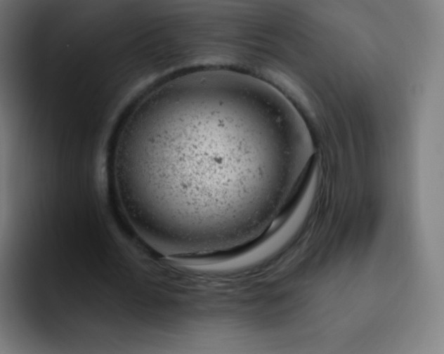 X0000093210676200710101327