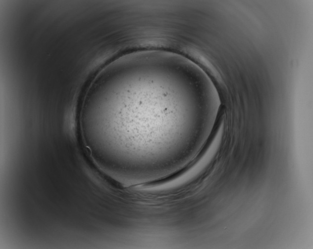 X0000093210677200710101327