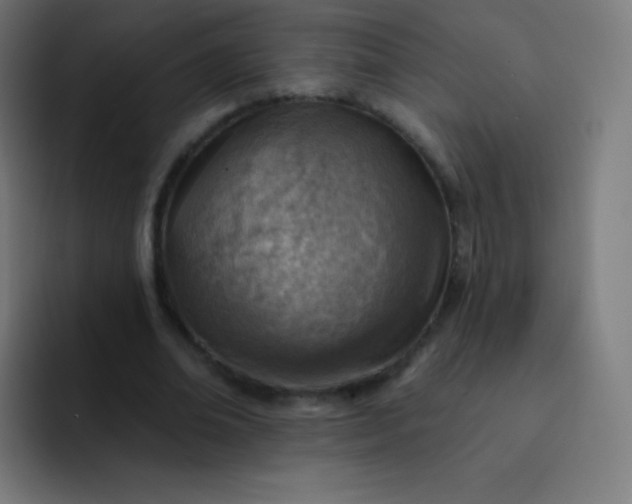 X0000093210678200710101327