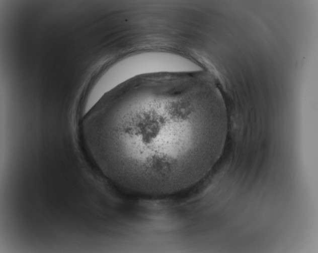 X0000093210679200710101327