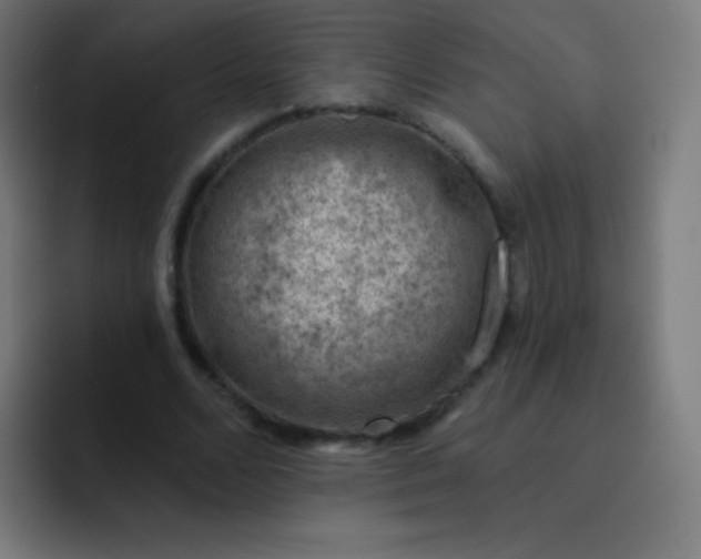 X0000093210680200710101327