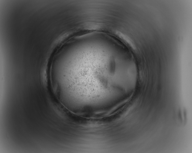 X0000093210682200710101327