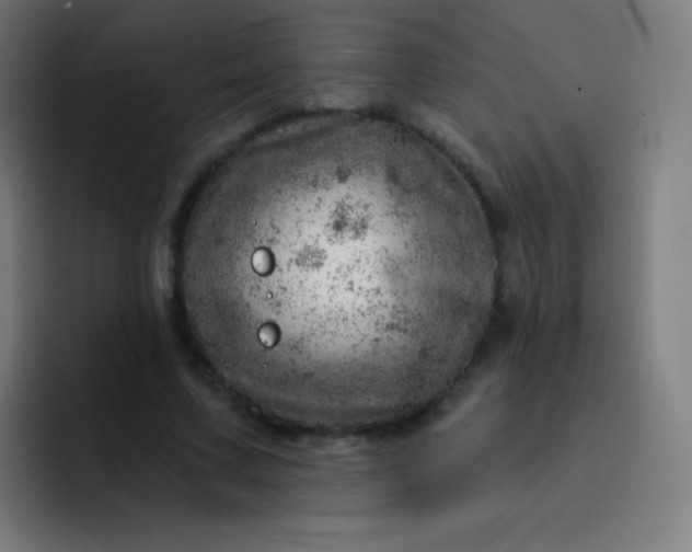 X0000093210683200710101327