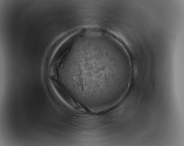 X0000093210684200710101327