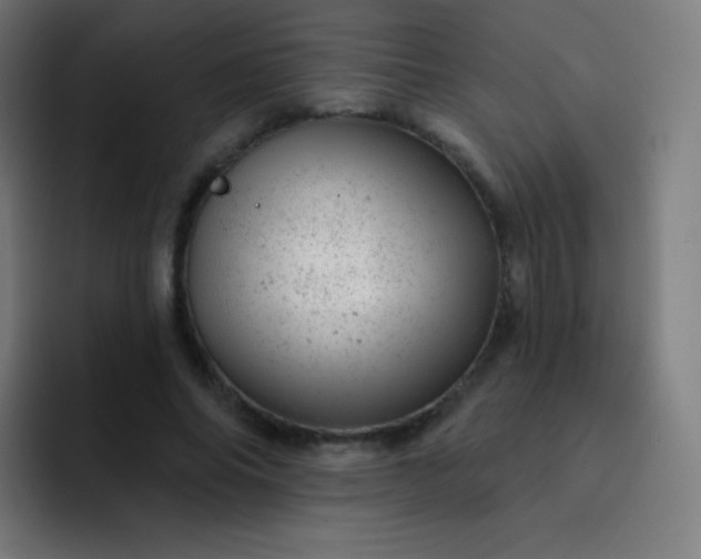 X0000093210686200710101327