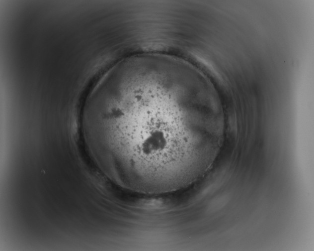 X0000093210687200710101327