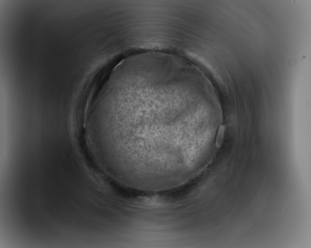 X0000093210688200710101327