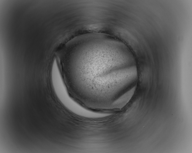 X0000093210689200710101327