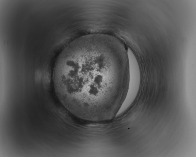 X0000093210691200710101327