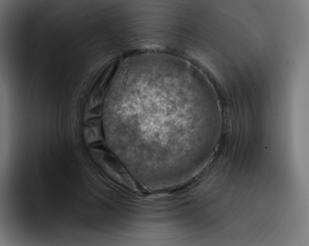 X0000093210692200710101327