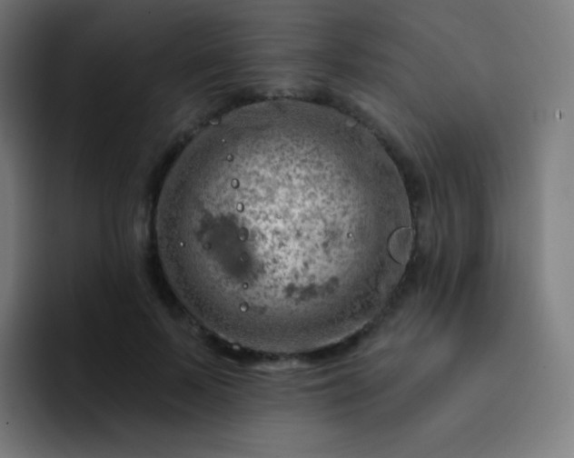 X0000093210695200710101327