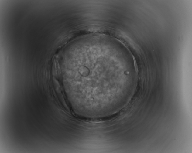 X0000093210696200710101327