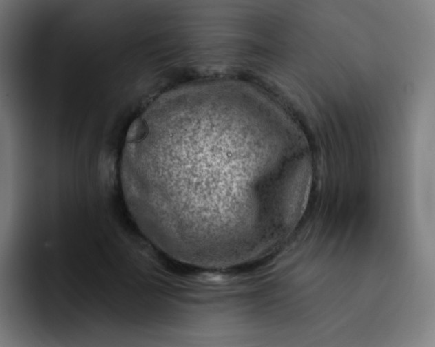 X0000093210699200710101327