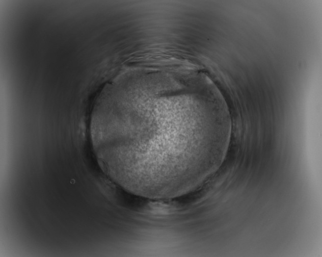 X0000093210703200710101326