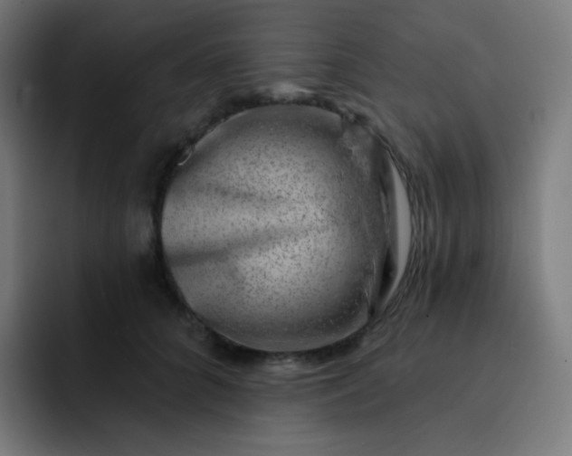 X0000093210704200710101326