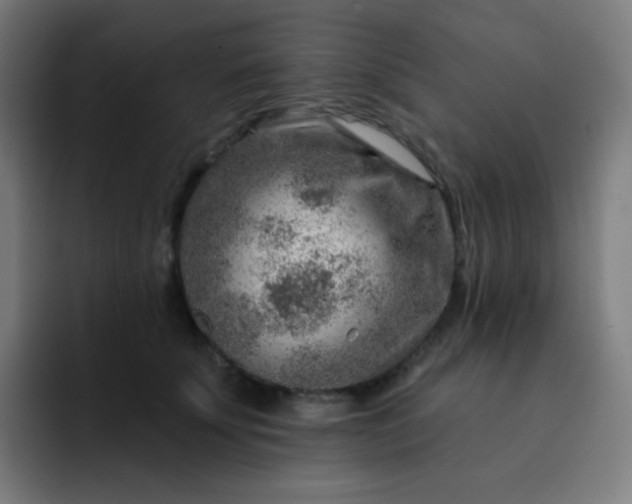 X0000093210707200710101326