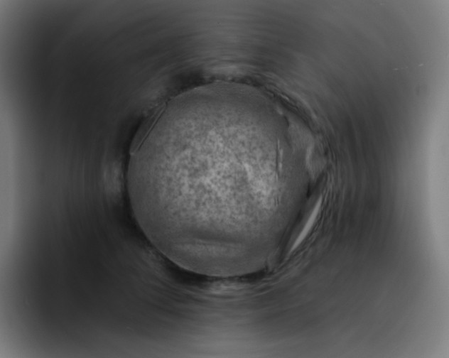 X0000093210708200710101326