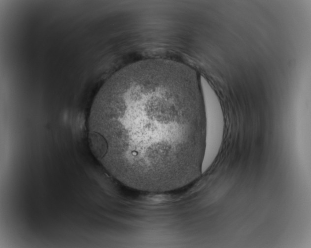 X0000093210711200710101326