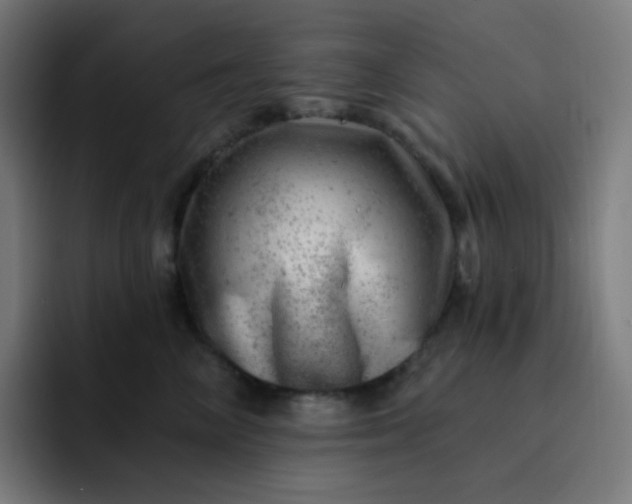 X0000093210714200710101326