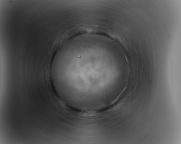 X0000093210720200710101326