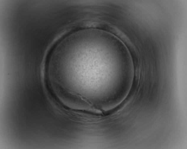 X0000093210722200710101326