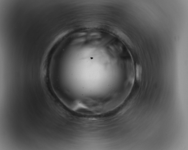 X0000093210723200710101326