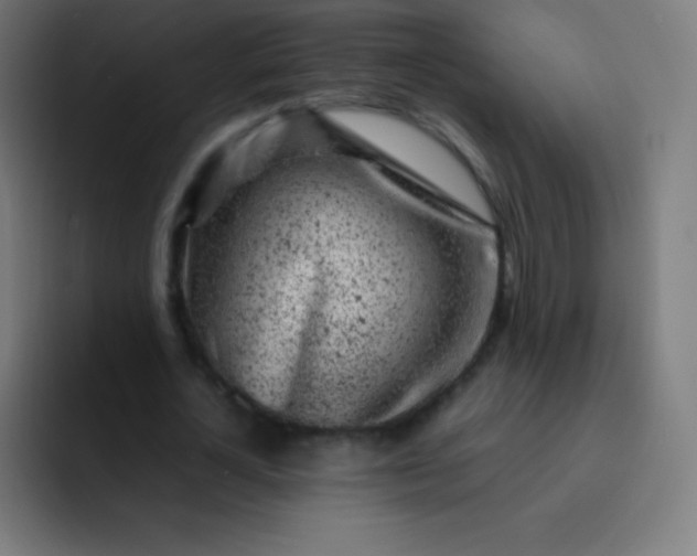 X0000093210724200710101326