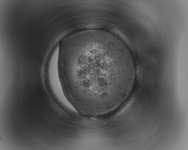 X0000093210725200710101326