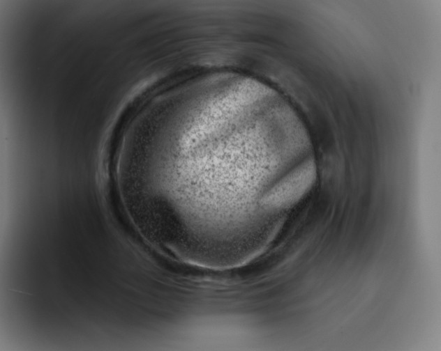 X0000093210727200710101326