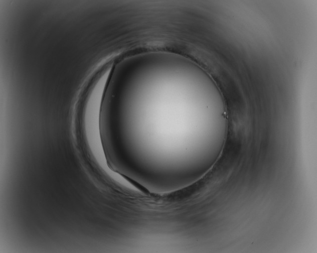 X0000093210728200710101326