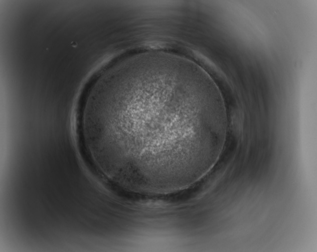 X0000093210730200710101326