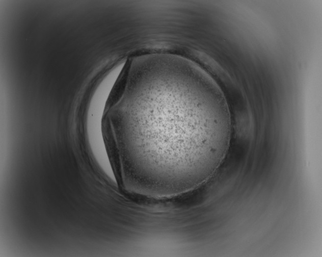 X0000093210731200710101326