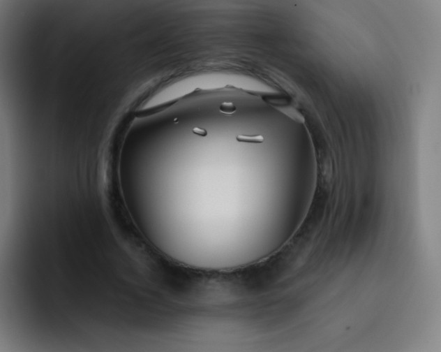 X0000093210732200710101326