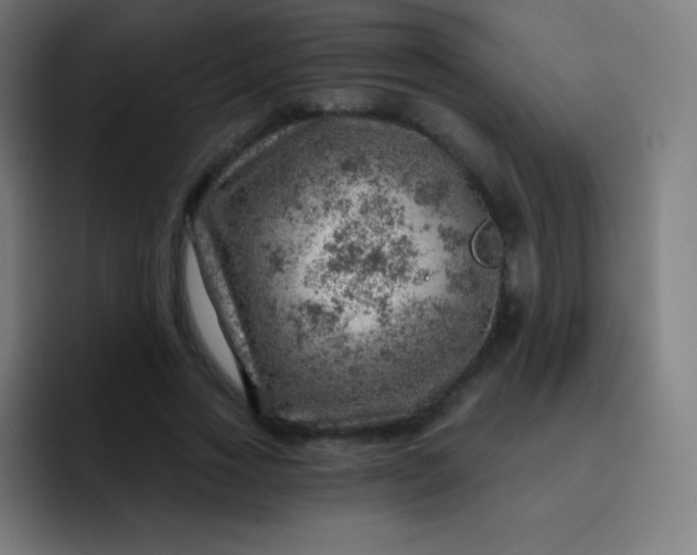 X0000093210733200710101326