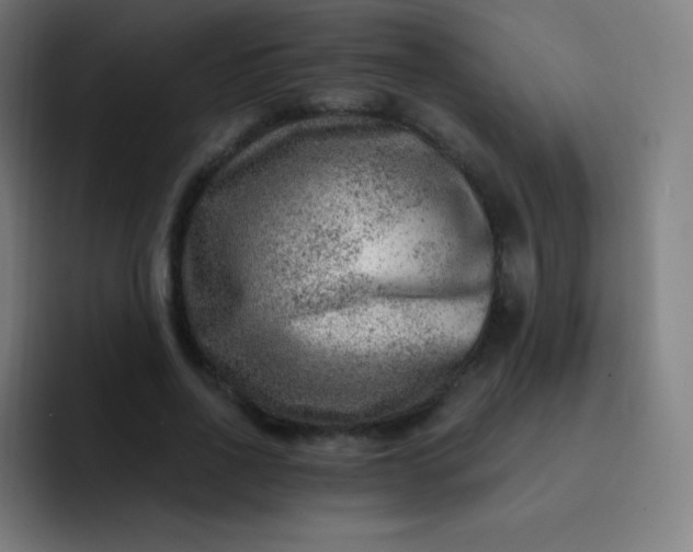 X0000093210734200710101326