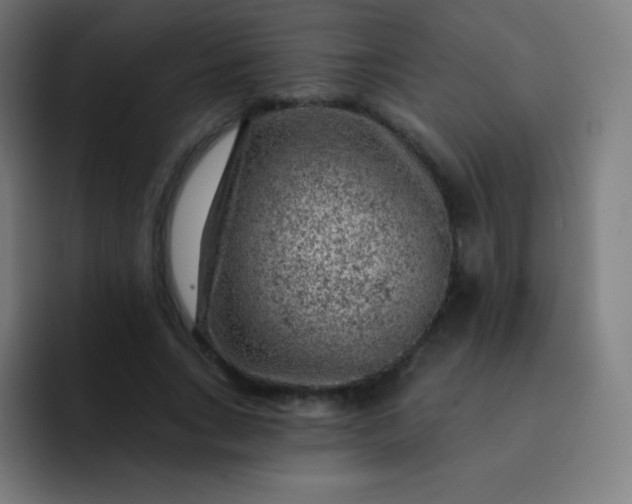 X0000093210735200710101326