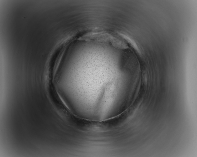 X0000093210736200710101326