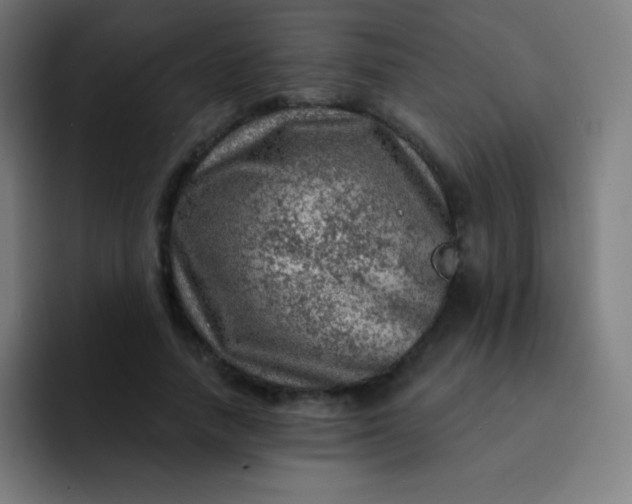 X0000093210738200710101326