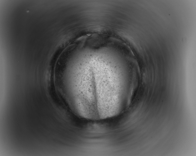 X0000093210739200710101326