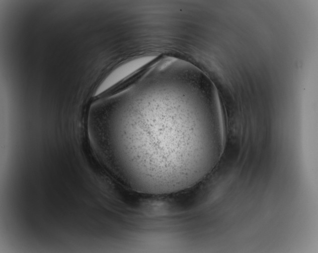 X0000093210743200710101326