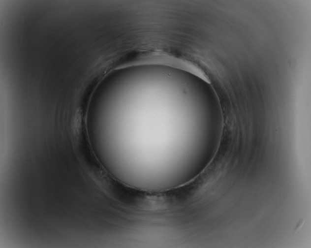 X0000093210744200710101326