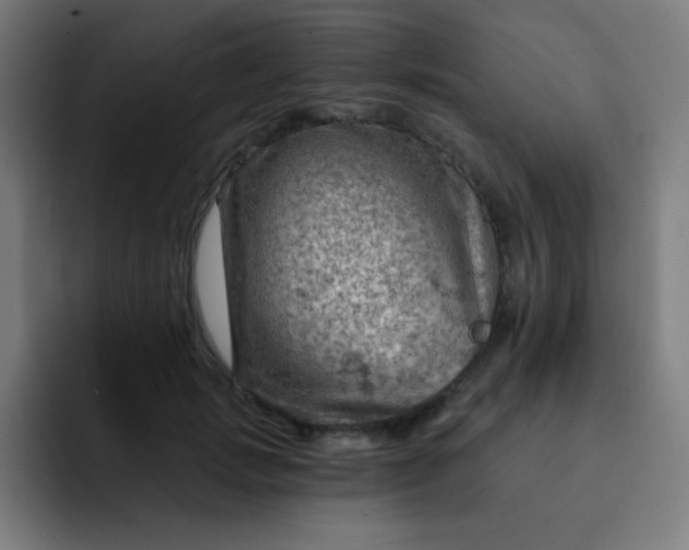 X0000093210749200710101326