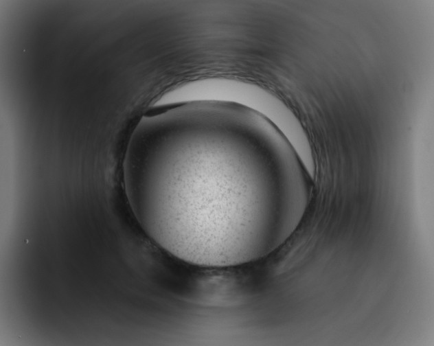 X0000093210750200710101326