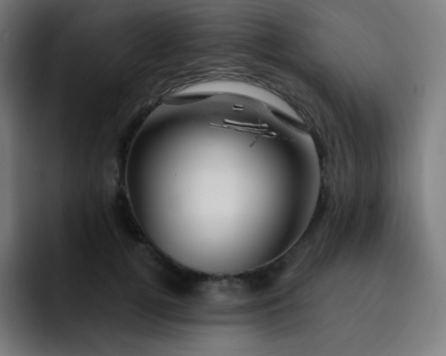 X0000093210752200710101326