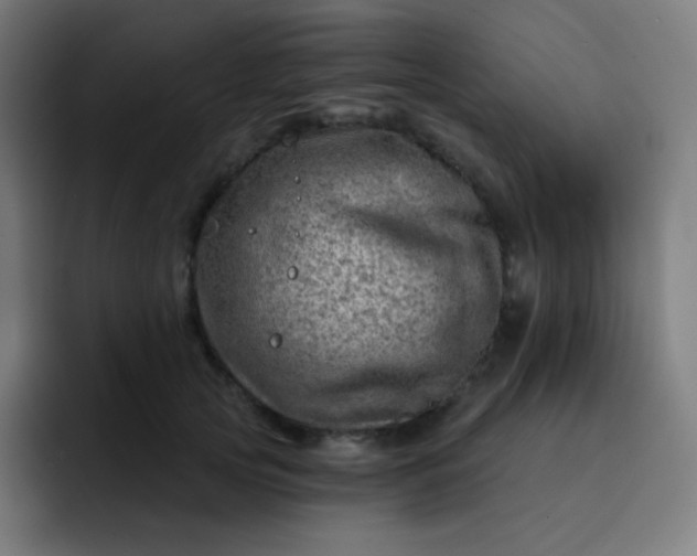 X0000093210753200710101326