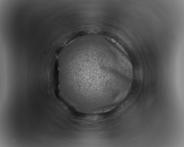 X0000093210757200710101326